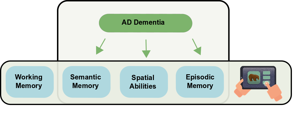 tDCS training